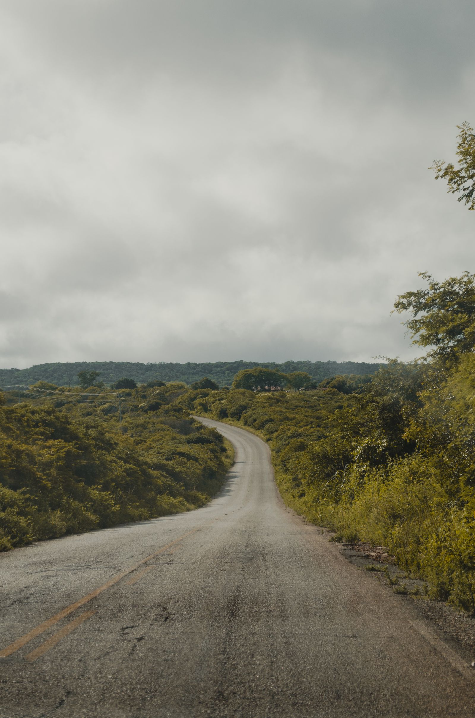 Cuneyt Palta — Connection Quality Grader: the fastest way to turn a vague travel question into a next step.