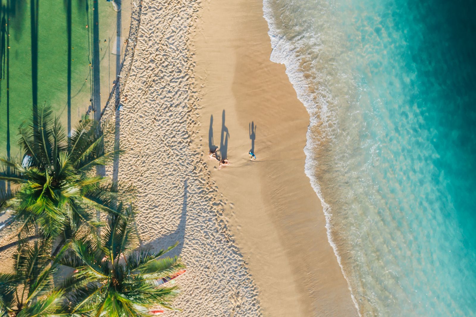 Palm Trees Near Beach — O número segue o eSIM: reinstale o plano, mantenha o número.