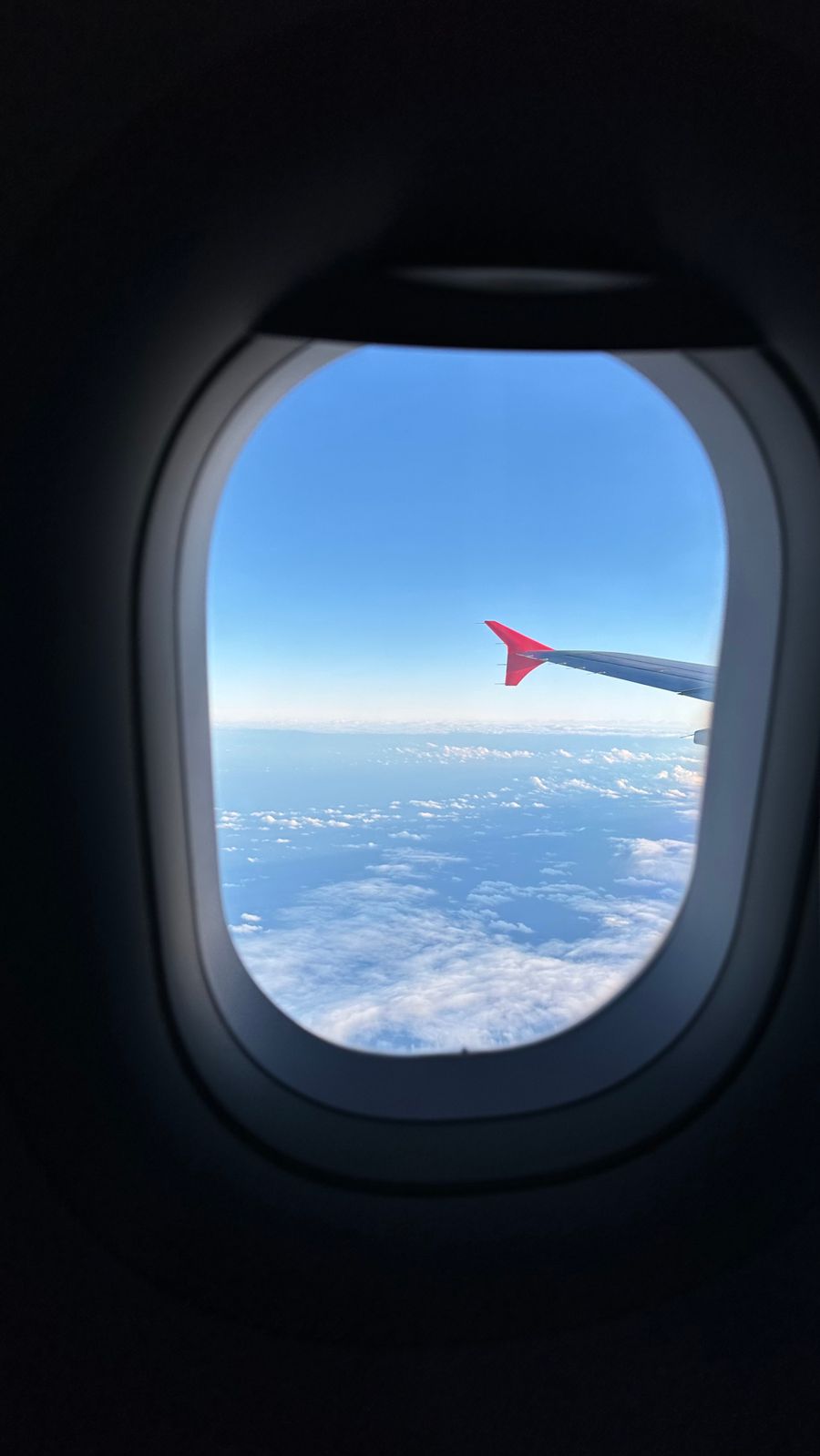 scenic aerial view from airplane window — From question to next step: Multi-Country eSIM Guide shortens the path to a decision.