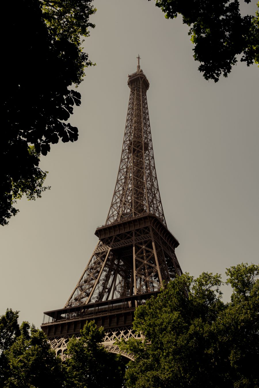 iconic eiffel tower in summer foliage — The food tour: every recommendation looked up on the spot.