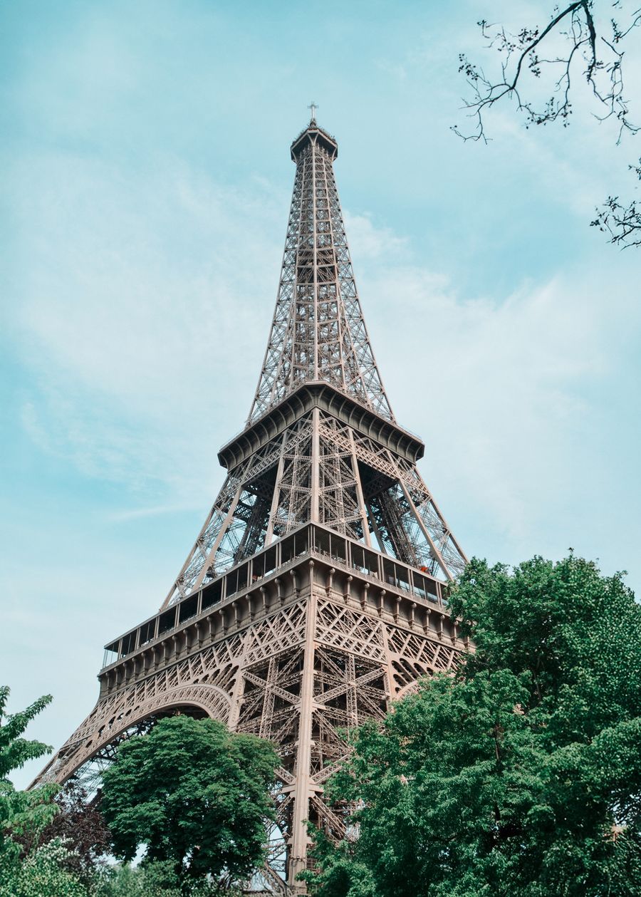stunning eiffel tower amid lush greenery — Harbor views with full bars: coverage where travelers actually go.