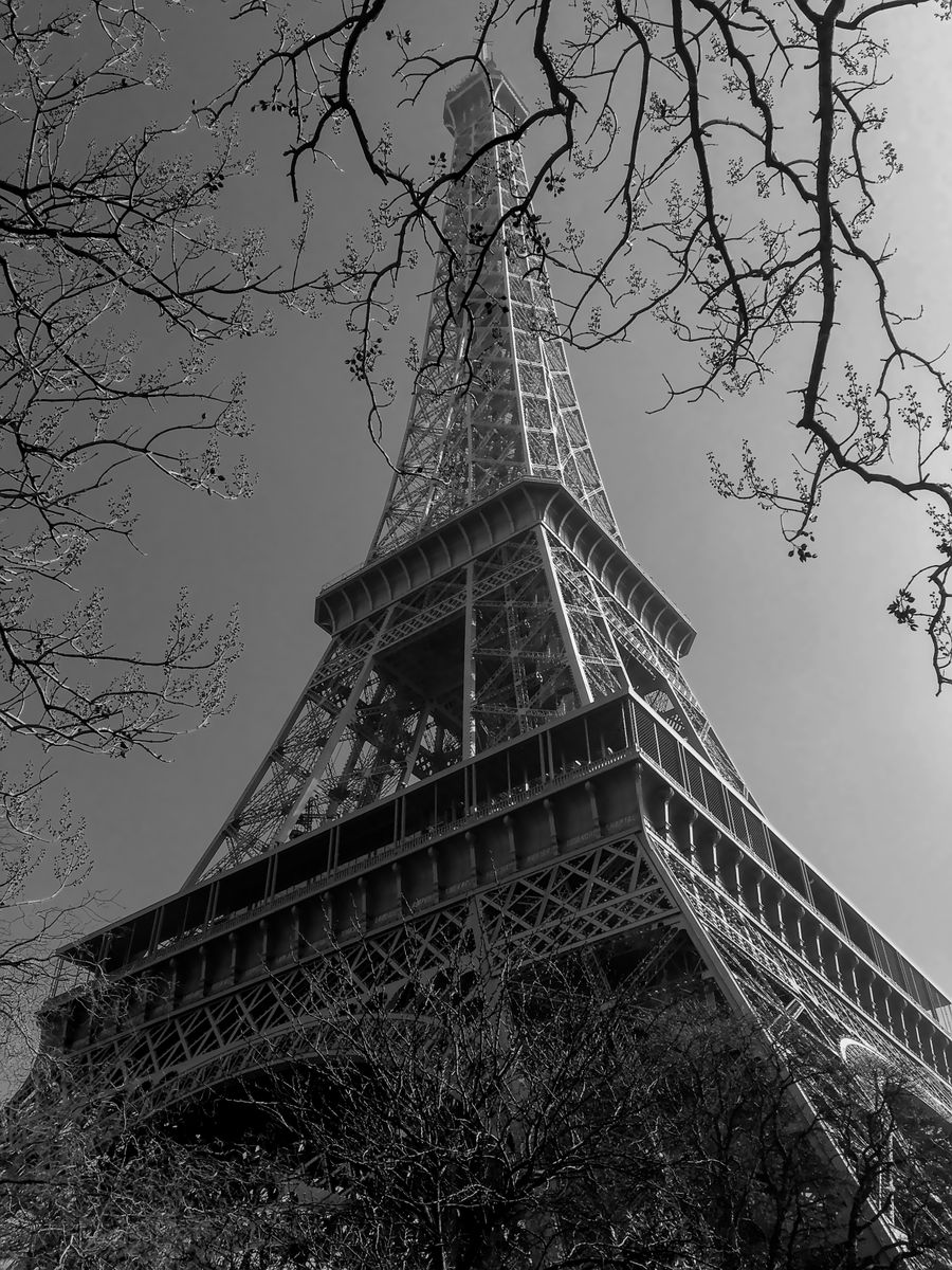 black and white eiffel tower framed by trees — Os grupos seguem ativos em cada fronteira ao redor de Guinea-Bissau.