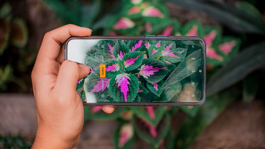 person taking photo of exotic plants with smartphone — Pergunte sobre compatibilidade eSIM — o agente verifica o modelo do seu celular.